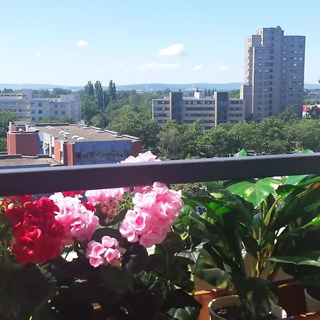 Lane Laatzen, Nahe Messe *